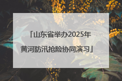 山东省举办2025年黄河防汛抢险协同演习