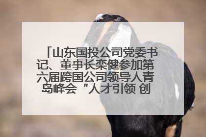 山东国投公司党委书记、董事长栾健参加第六届跨国公司领导人青岛峰会“人才引领 创新驱动”人力资源高质量发展对话会