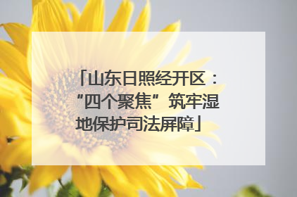山东日照经开区：“四个聚焦”筑牢湿地保护司法屏障