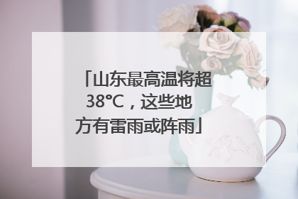山东最高温将超38°C，这些地方有雷雨或阵雨