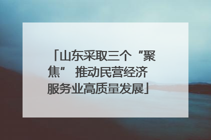 山东采取三个“聚焦” 推动民营经济服务业高质量发展