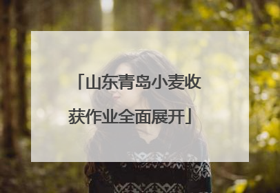 山东青岛小麦收获作业全面展开
