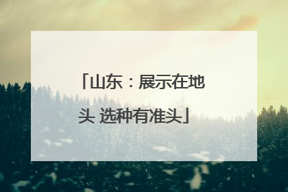 山东：展示在地头 选种有准头
