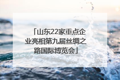 山东22家重点企业亮相第九届丝绸之路国际博览会
