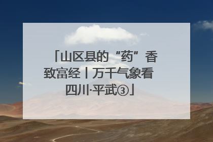 山区县的“药”香致富经丨万千气象看四川·平武③