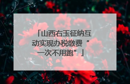 山西右玉征纳互动实现办税缴费“一次不用跑”