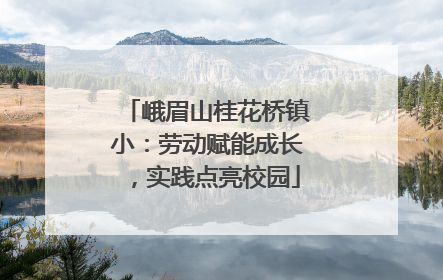 峨眉山桂花桥镇小：劳动赋能成长，实践点亮校园