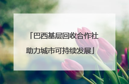 巴西基层回收合作社助力城市可持续发展