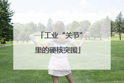 工业“关节”里的硬核突围
