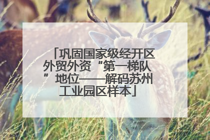 巩固国家级经开区外贸外资“第一梯队”地位——解码苏州工业园区样本