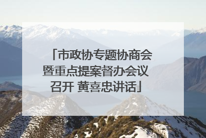 市政协专题协商会暨重点提案督办会议召开 黄喜忠讲话