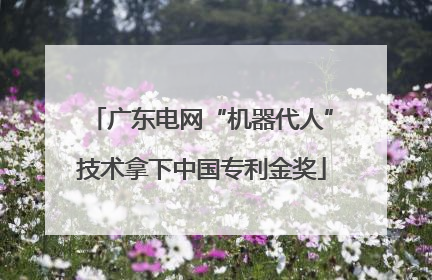 广东电网“机器代人”技术拿下中国专利金奖