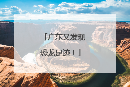 广东又发现恐龙足迹！