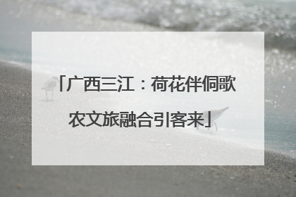 广西三江：荷花伴侗歌 农文旅融合引客来