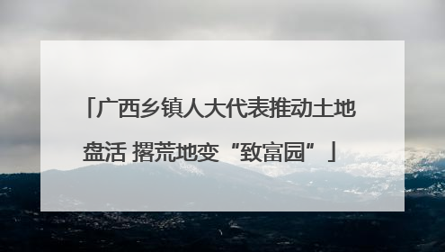 广西乡镇人大代表推动土地盘活 撂荒地变“致富园”