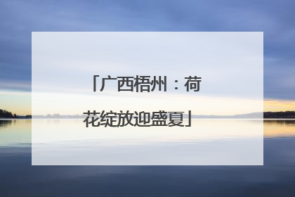 广西梧州：荷花绽放迎盛夏