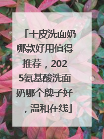 干皮洗面奶哪款好用值得推荐，2025氨基酸洗面奶哪个牌子好，温和在线