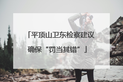 平顶山卫东检察建议确保“罚当其错”
