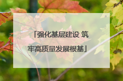 强化基层建设 筑牢高质量发展根基