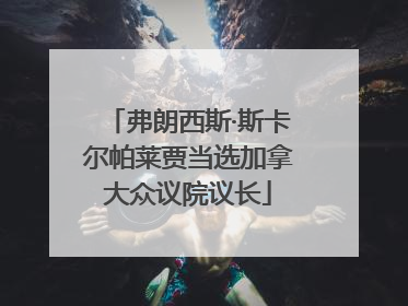 弗朗西斯·斯卡尔帕莱贾当选加拿大众议院议长