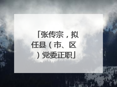 张传宗，拟任县（市、区）党委正职