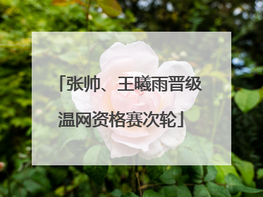 张帅、王曦雨晋级温网资格赛次轮