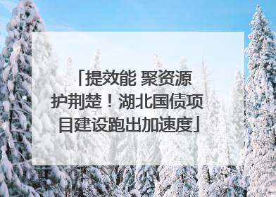 提效能 聚资源 护荆楚！湖北国债项目建设跑出加速度