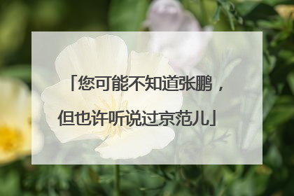 您可能不知道张鹏，但也许听说过京范儿