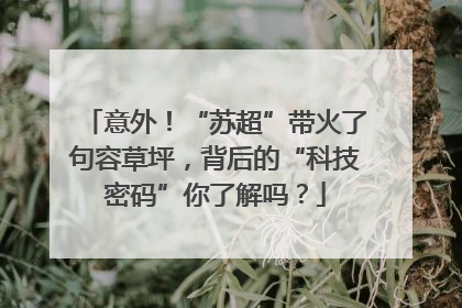 意外！“苏超”带火了句容草坪，背后的“科技密码”你了解吗？