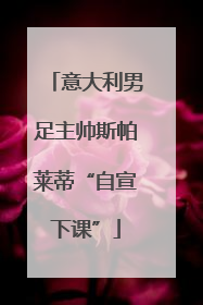 意大利男足主帅斯帕莱蒂“自宣下课”