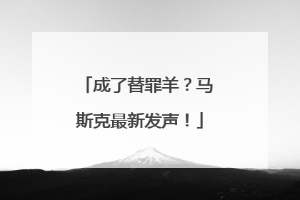 成了替罪羊？马斯克最新发声！