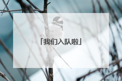 我们入队啦