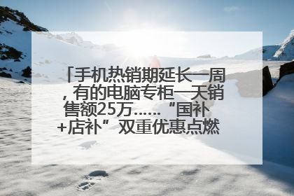 手机热销期延长一周，有的电脑专柜一天销售额25万……“国补+店补”双重优惠点燃德州“考后经济”