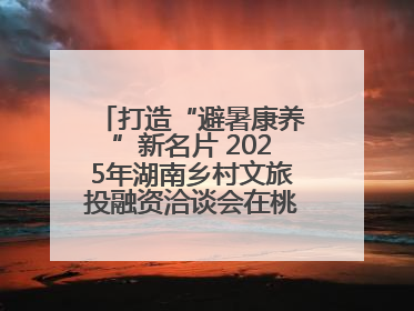 打造“避暑康养”新名片 2025年湖南乡村文旅投融资洽谈会在桃江举办