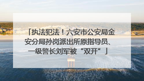 执法犯法！六安市公安局金安分局孙岗派出所原指导员、一级警长刘军被“双开”