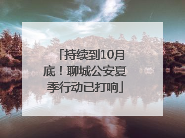 持续到10月底！聊城公安夏季行动已打响