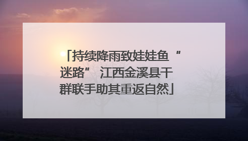 持续降雨致娃娃鱼“迷路” 江西金溪县干群联手助其重返自然