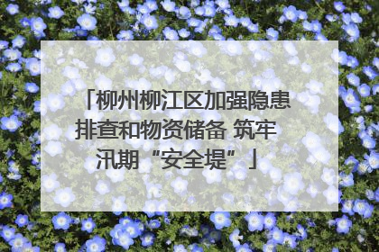 柳州柳江区加强隐患排查和物资储备 筑牢汛期“安全堤”