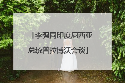 李强同印度尼西亚总统普拉博沃会谈