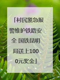 村民紧急报警维护铁路安全 国铁昆明局送上1000元奖金