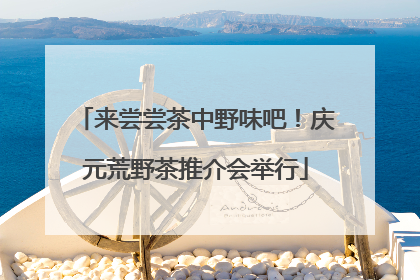 来尝尝茶中野味吧！庆元荒野茶推介会举行