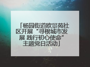 杨园街道欧景苑社区开展“寻根城市发展 践行初心使命”主题党日活动