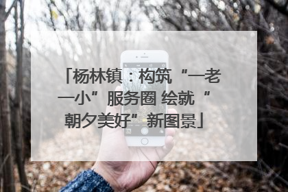 杨林镇：构筑“一老一小”服务圈 绘就“朝夕美好”新图景