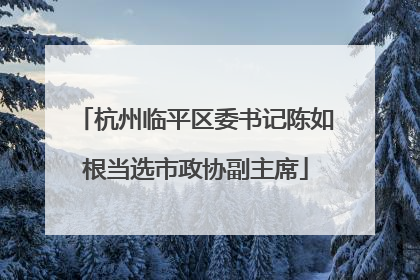 杭州临平区委书记陈如根当选市政协副主席