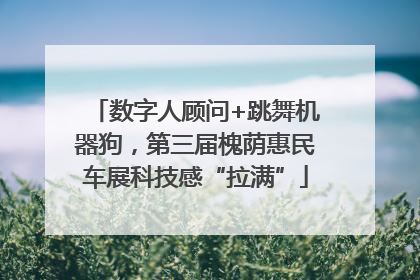 数字人顾问+跳舞机器狗，第三届槐荫惠民车展科技感“拉满”