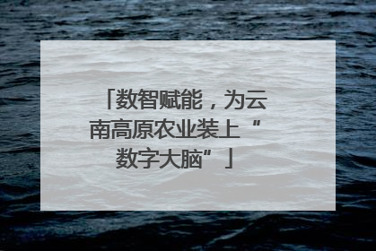 数智赋能，为云南高原农业装上“数字大脑”