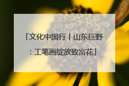 文化中国行丨山东巨野：工笔画绽放致富花