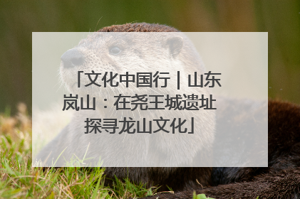 文化中国行｜山东岚山：在尧王城遗址探寻龙山文化