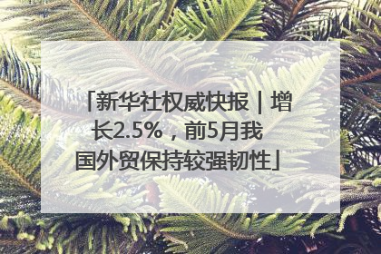 新华社权威快报｜增长2.5%，前5月我国外贸保持较强韧性
