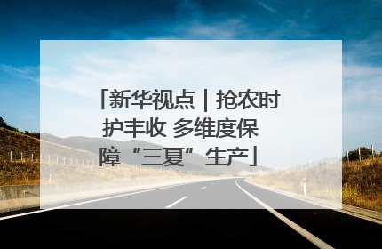 新华视点｜抢农时 护丰收 多维度保障“三夏”生产